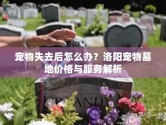 宠物失去后怎么办？洛阳宠物墓地价格与服务解析