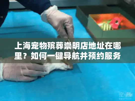 上海宠物殡葬崇明店地址在哪里？如何一键导航并预约服务？
