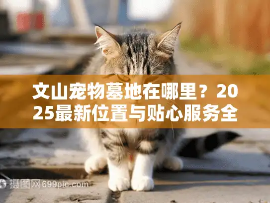 文山宠物墓地在哪里？2025最新位置与贴心服务全指南