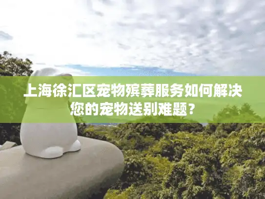 上海徐汇区宠物殡葬服务如何解决您的宠物送别难题？