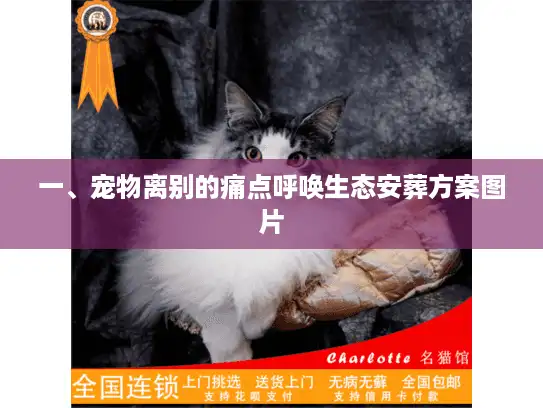 一、宠物离别的痛点呼唤生态安葬方案图片