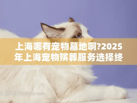 上海哪有宠物墓地啊?2025年上海宠物殡葬服务选择终极指南