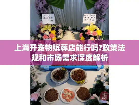 上海开宠物殡葬店能行吗?政策法规和市场需求深度解析