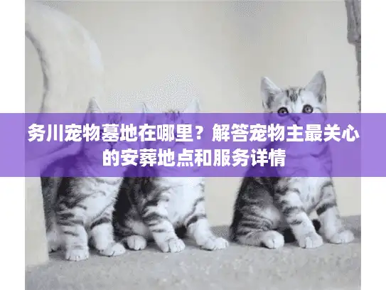 务川宠物墓地在哪里？解答宠物主最关心的安葬地点和服务详情