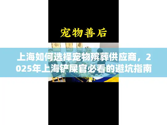 上海如何选择宠物殡葬供应商，2025年上海铲屎官必看的避坑指南