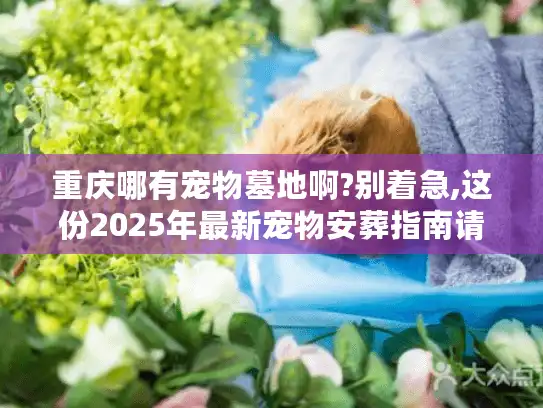 重庆哪有宠物墓地啊?别着急,这份2025年最新宠物安葬指南请收好