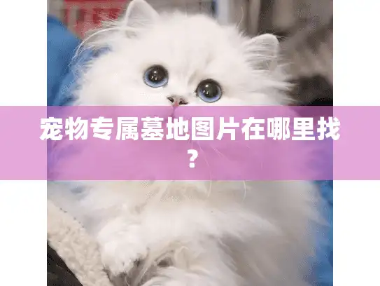 宠物专属墓地图片在哪里找？