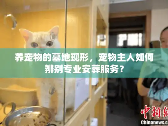 养宠物的墓地现形，宠物主人如何辨别专业安葬服务？