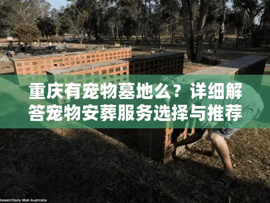 重庆有宠物墓地么？详细解答宠物安葬服务选择与推荐