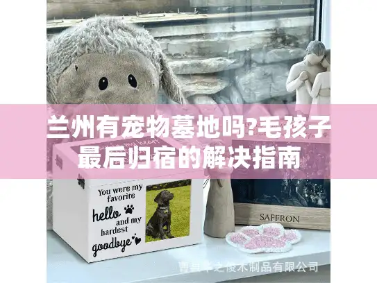兰州有宠物墓地吗?毛孩子最后归宿的解决指南