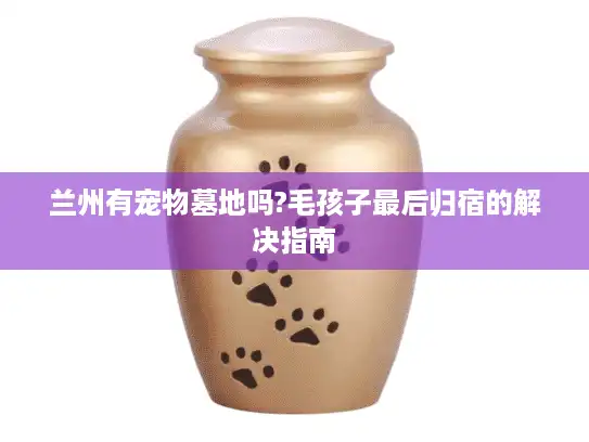 兰州有宠物墓地吗?毛孩子最后归宿的解决指南