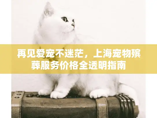 再见爱宠不迷茫，上海宠物殡葬服务价格全透明指南