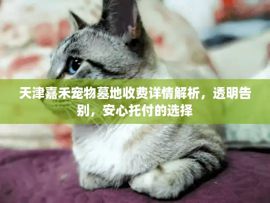 天津嘉禾宠物墓地收费详情解析，透明告别，安心托付的选择