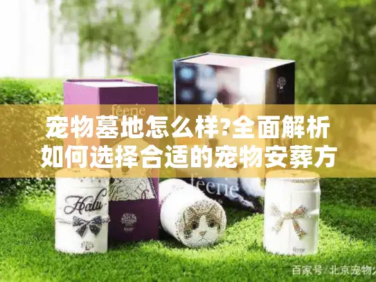 宠物墓地怎么样?全面解析如何选择合适的宠物安葬方式