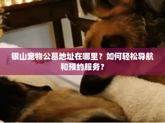 银山宠物公墓地址在哪里？如何轻松导航和预约服务？