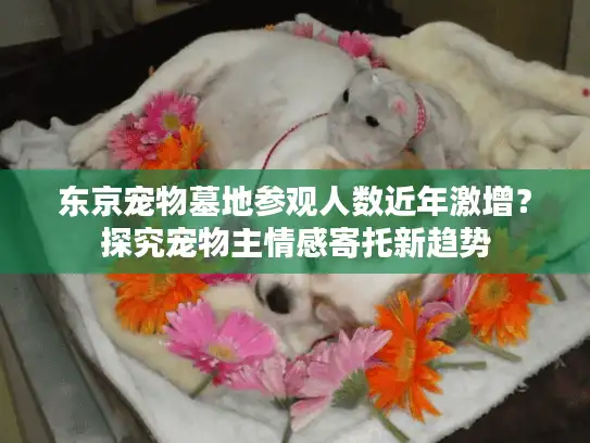 东京宠物墓地参观人数近年激增？探究宠物主情感寄托新趋势