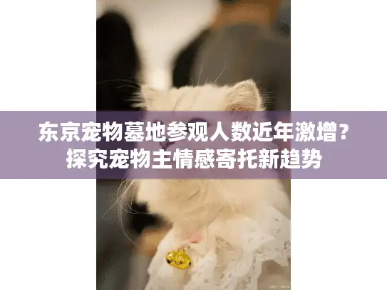 东京宠物墓地参观人数近年激增？探究宠物主情感寄托新趋势