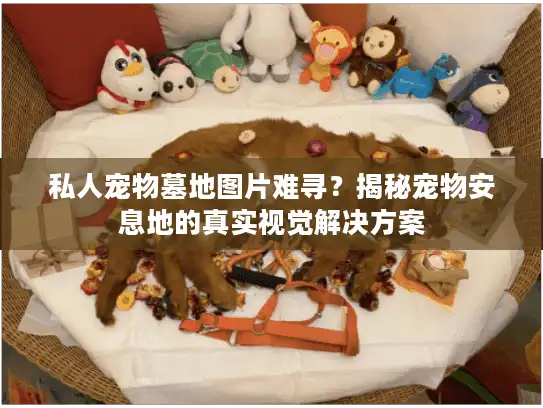 私人宠物墓地图片难寻？揭秘宠物安息地的真实视觉解决方案
