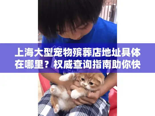 上海大型宠物殡葬店地址具体在哪里？权威查询指南助你快速定位