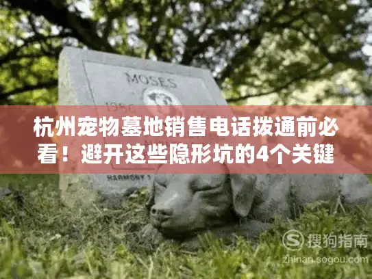 杭州宠物墓地销售电话拨通前必看！避开这些隐形坑的4个关键步骤