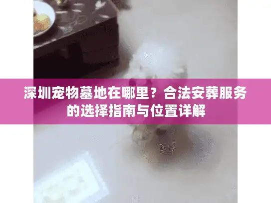 深圳宠物墓地在哪里？合法安葬服务的选择指南与位置详解