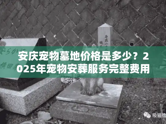 安庆宠物墓地价格是多少？2025年宠物安葬服务完整费用解析