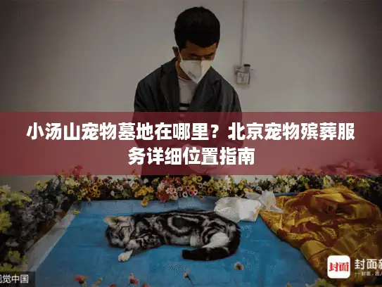 小汤山宠物墓地在哪里？北京宠物殡葬服务详细位置指南