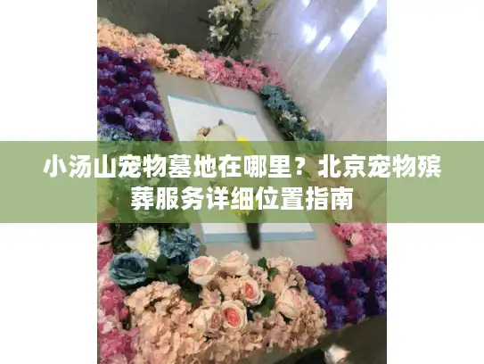 小汤山宠物墓地在哪里？北京宠物殡葬服务详细位置指南