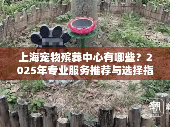 上海宠物殡葬中心有哪些？2025年专业服务推荐与选择指南