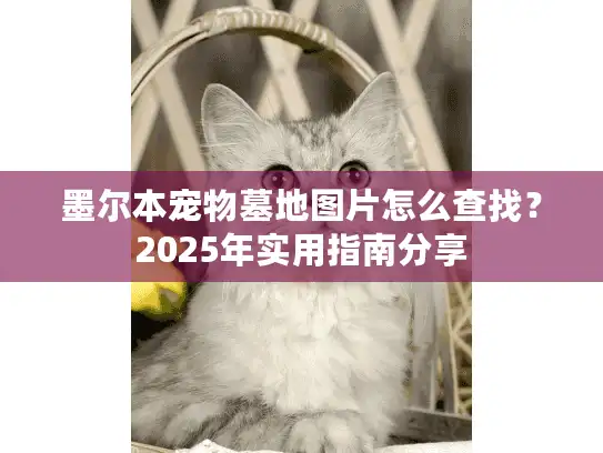 墨尔本宠物墓地图片怎么查找？2025年实用指南分享