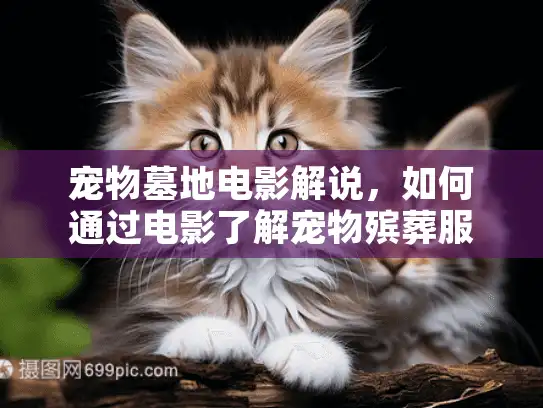 宠物墓地电影解说，如何通过电影了解宠物殡葬服务？