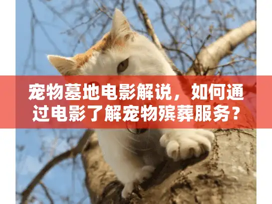 宠物墓地电影解说，如何通过电影了解宠物殡葬服务？