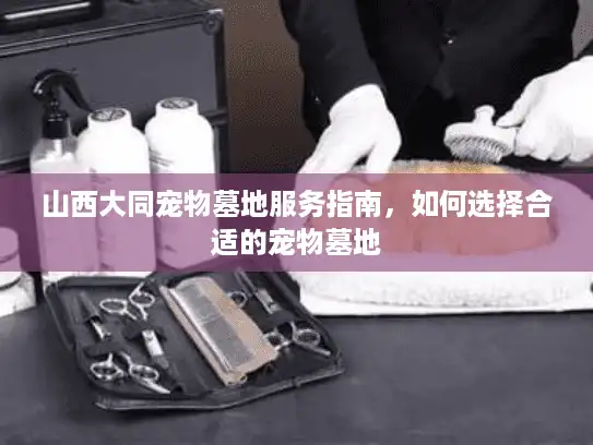 山西大同宠物墓地服务指南，如何选择合适的宠物墓地
