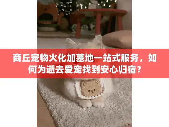 商丘宠物火化加墓地一站式服务，如何为逝去爱宠找到安心归宿？