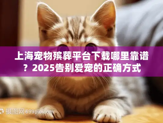 上海宠物殡葬平台下载哪里靠谱？2025告别爱宠的正确方式