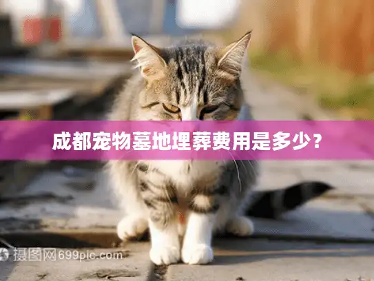 成都宠物墓地埋葬费用是多少？