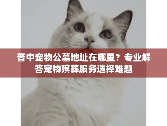 晋中宠物公墓地址在哪里？专业解答宠物殡葬服务选择难题