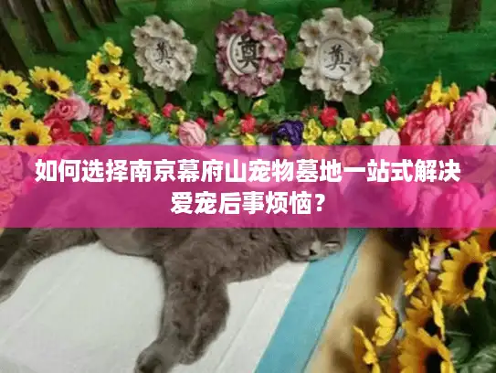 如何选择南京幕府山宠物墓地一站式解决爱宠后事烦恼？