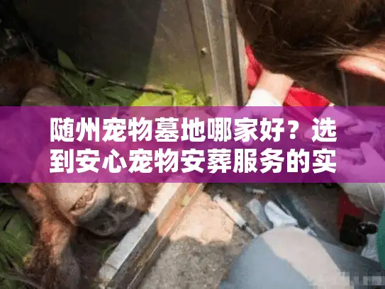 随州宠物墓地哪家好？选到安心宠物安葬服务的实用指南
