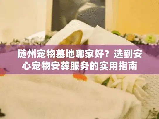 随州宠物墓地哪家好？选到安心宠物安葬服务的实用指南
