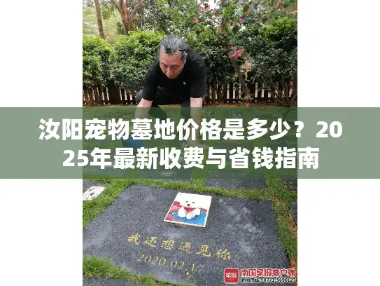 汝阳宠物墓地价格是多少？2025年最新收费与省钱指南