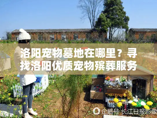洛阳宠物墓地在哪里？寻找洛阳优质宠物殡葬服务位置全解析