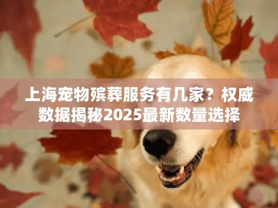 上海宠物殡葬服务有几家？权威数据揭秘2025最新数量选择
