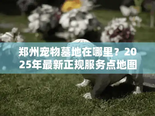 郑州宠物墓地在哪里？2025年最新正规服务点地图