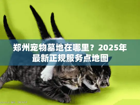 郑州宠物墓地在哪里？2025年最新正规服务点地图