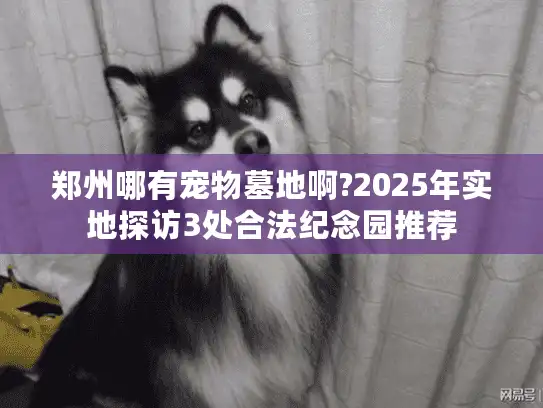 郑州哪有宠物墓地啊?2025年实地探访3处合法纪念园推荐