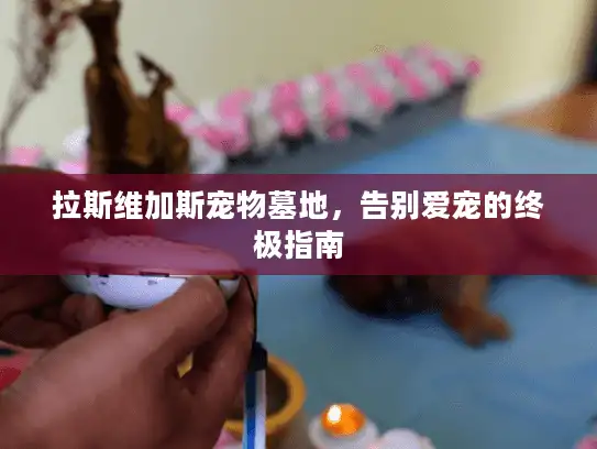 拉斯维加斯宠物墓地，告别爱宠的终极指南