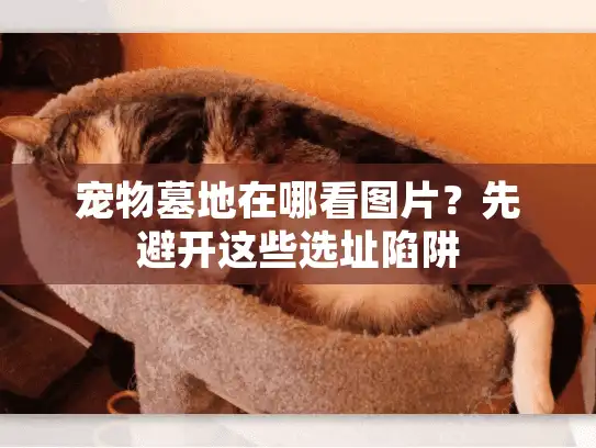 宠物墓地在哪看图片？先避开这些选址陷阱