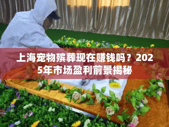上海宠物殡葬现在赚钱吗？2025年市场盈利前景揭秘