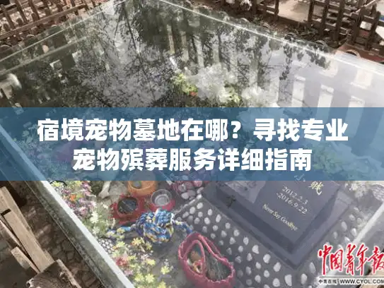 宿境宠物墓地在哪？寻找专业宠物殡葬服务详细指南